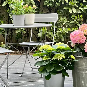 Loft G Hospitality Milano